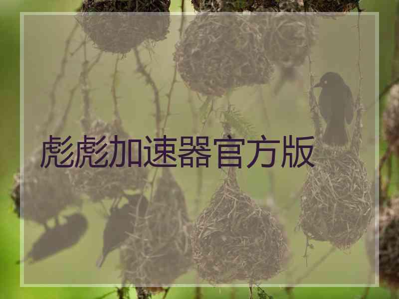 彪彪加速器官方版