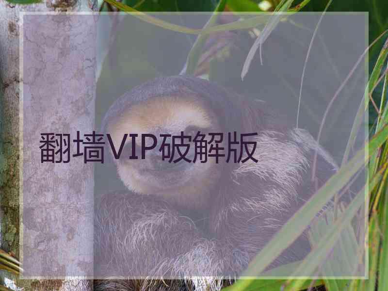 翻墙VIP破解版