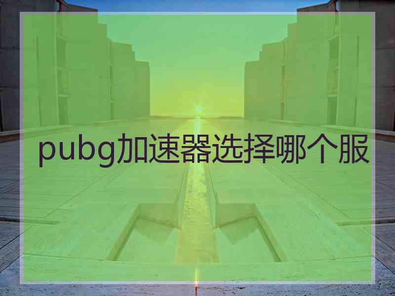 pubg加速器选择哪个服