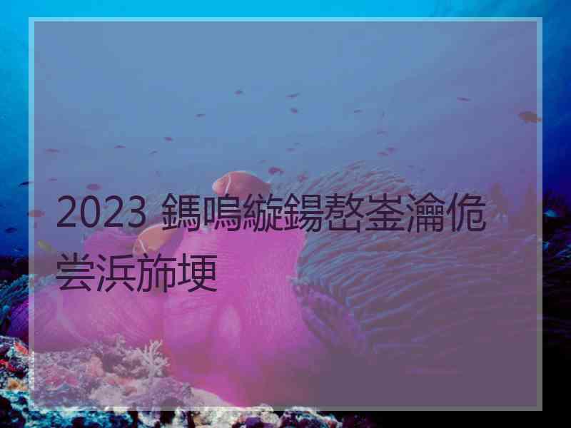 2023 鎷嗚縼鍚嶅崟瀹佹尝浜斾埂