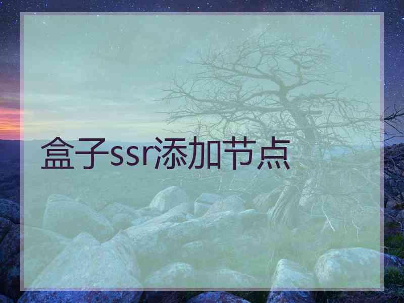 盒子ssr添加节点