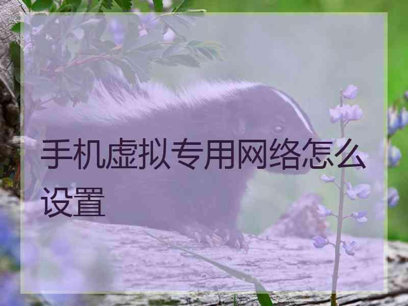 手机虚拟专用网络怎么设置