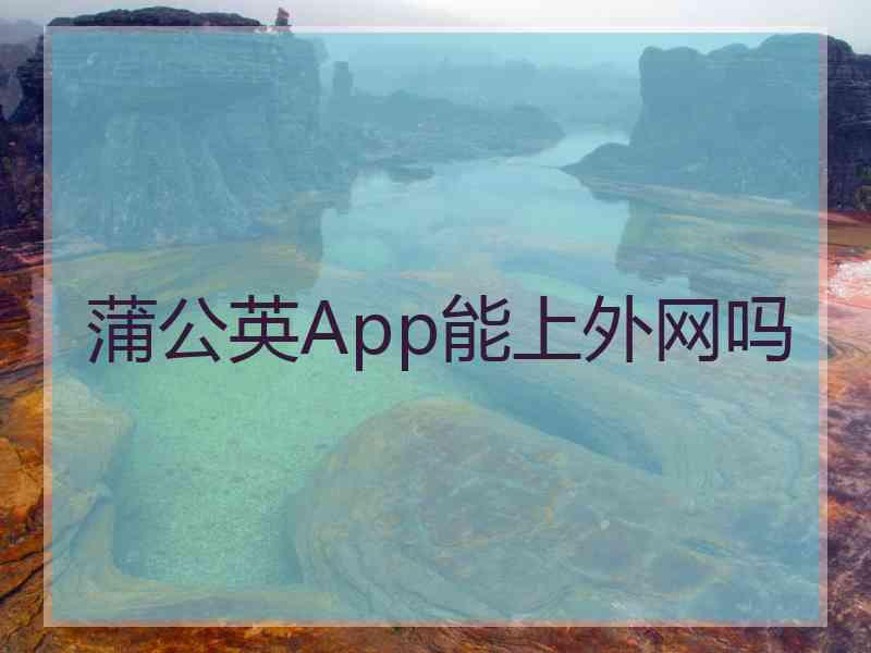 蒲公英App能上外网吗