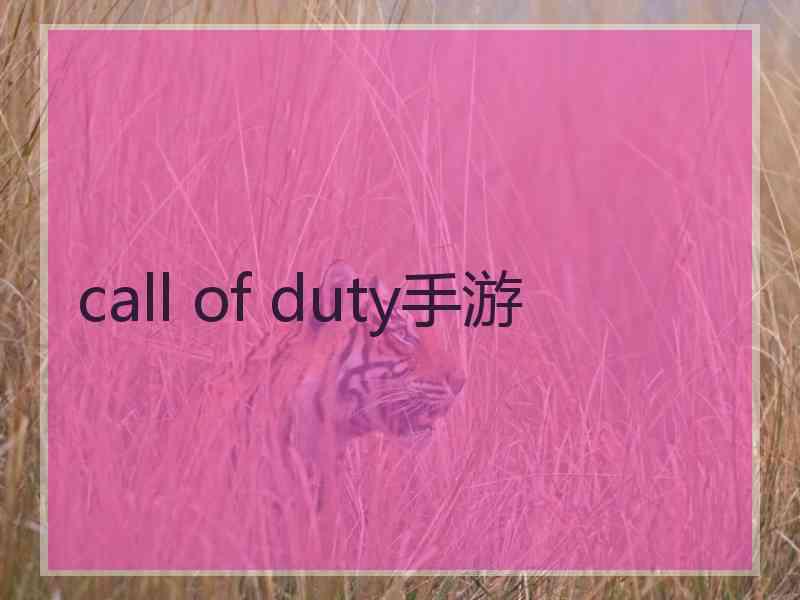 call of duty手游