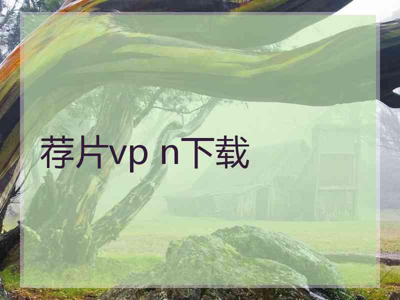 荐片vp n下载