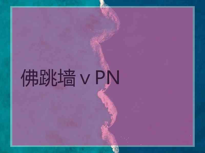 佛跳墙ⅴPN