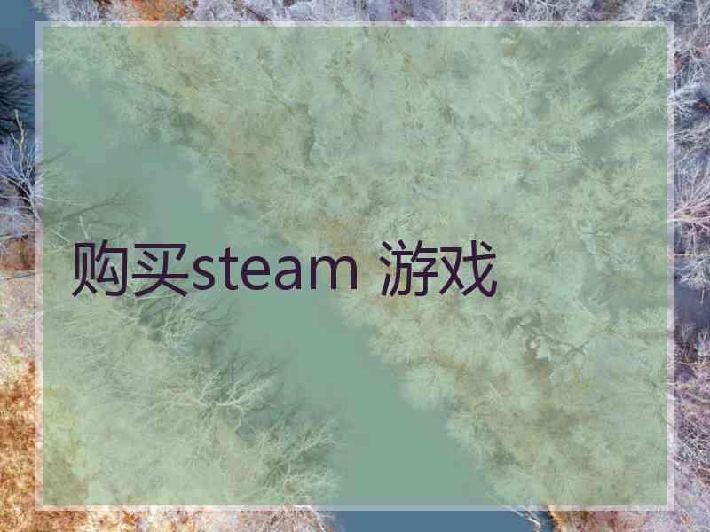 购买steam 游戏