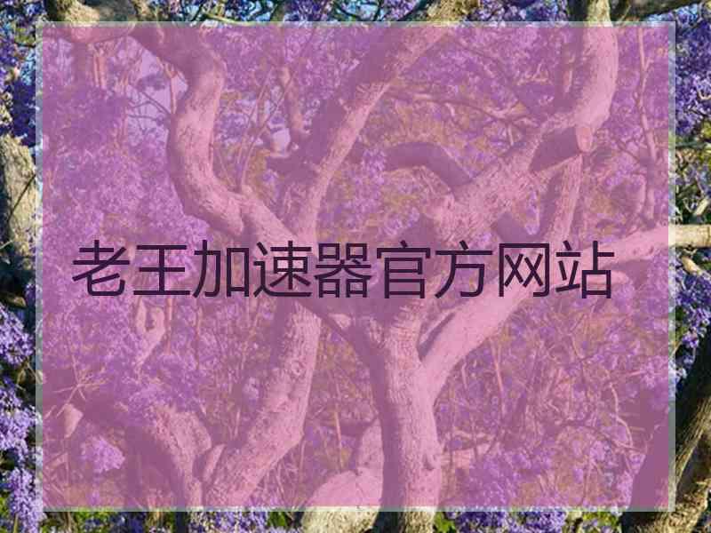 老王加速器官方网站