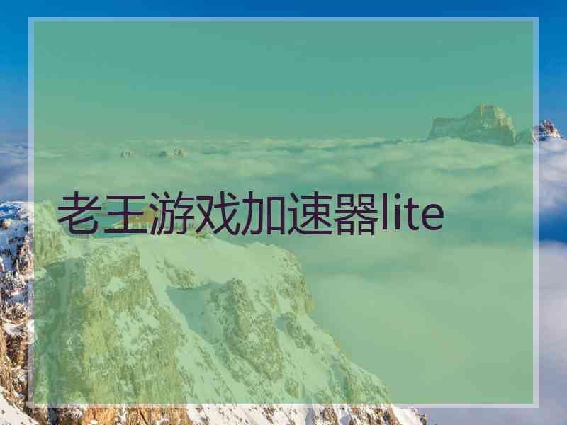 老王游戏加速器lite