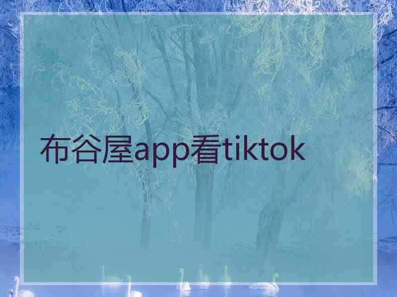 布谷屋app看tiktok