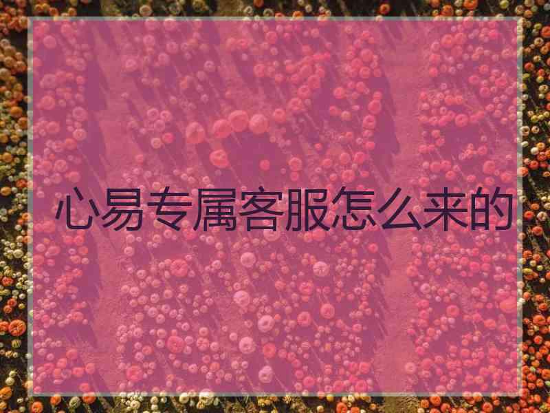 心易专属客服怎么来的