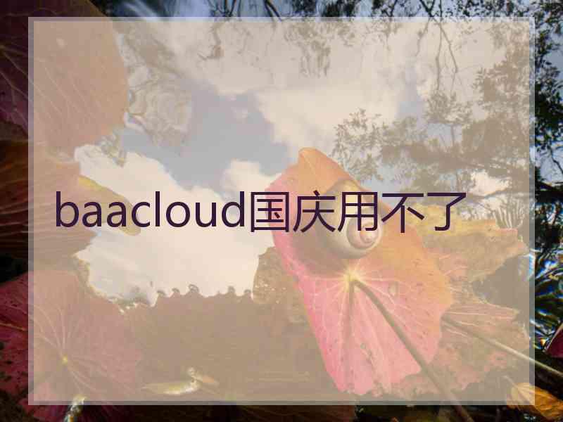 baacloud国庆用不了