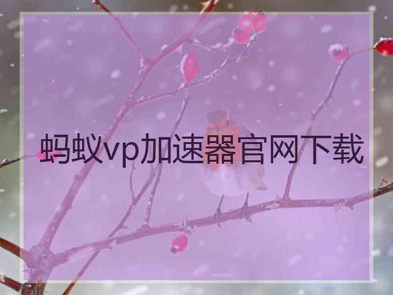 蚂蚁vp加速器官网下载