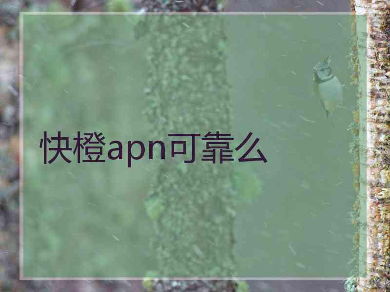 快橙apn可靠么