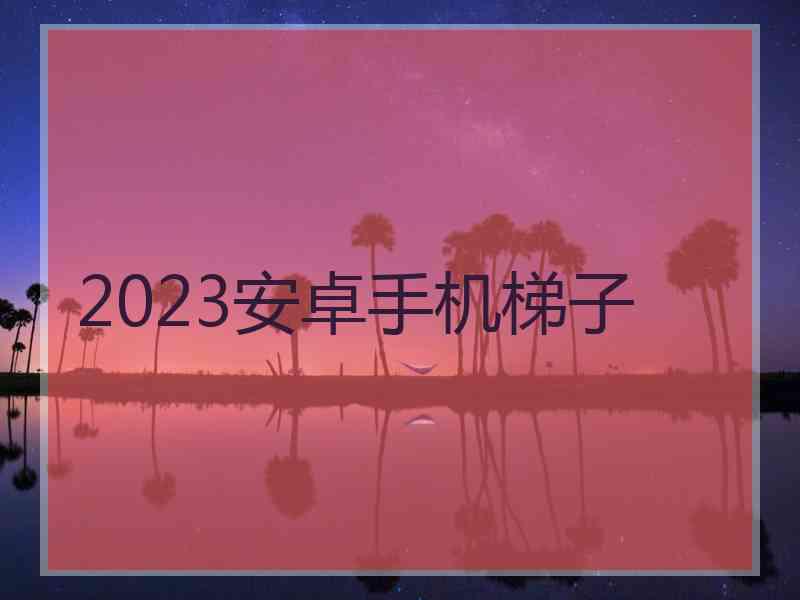 2023安卓手机梯子