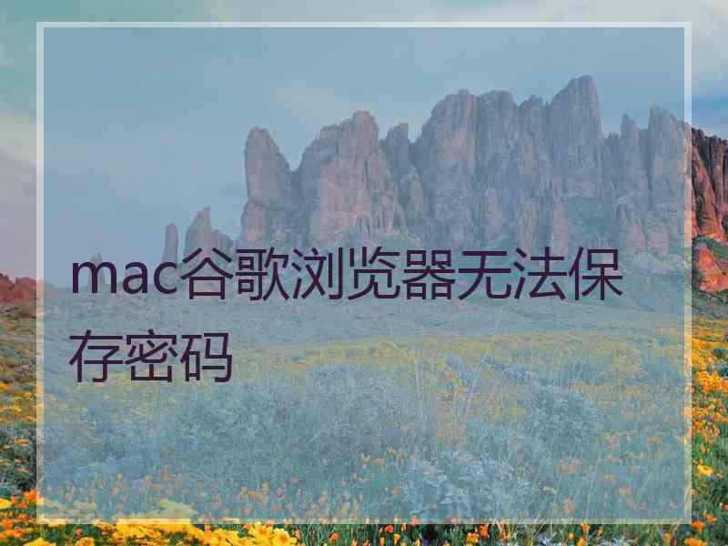 mac谷歌浏览器无法保存密码