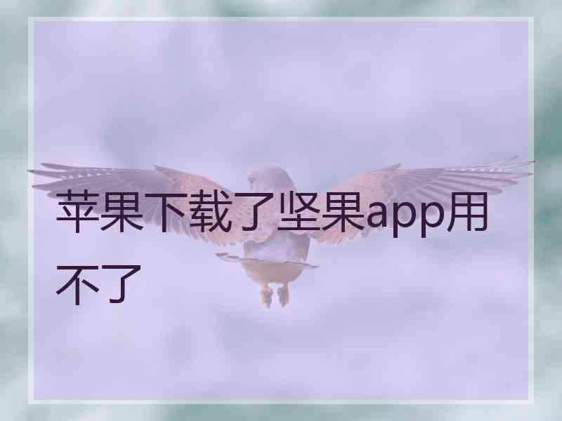 苹果下载了坚果app用不了