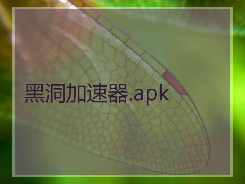 黑洞加速器.apk