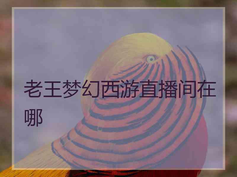 老王梦幻西游直播间在哪