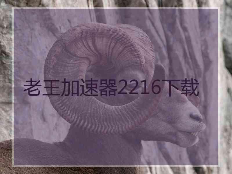 老王加速器2216下载