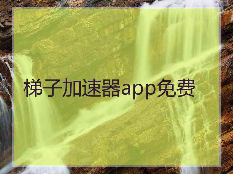 梯子加速器app免费