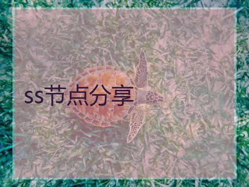 ss节点分享