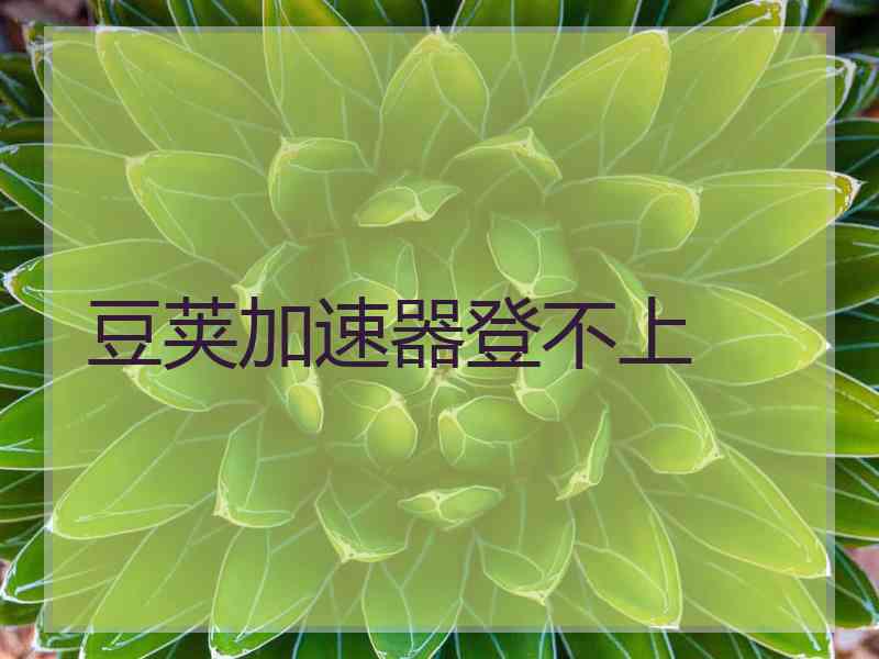 豆荚加速器登不上