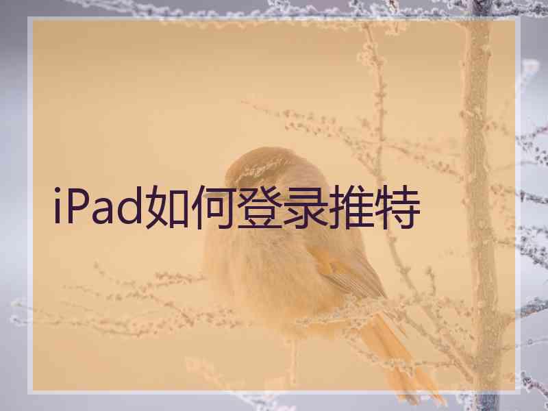 iPad如何登录推特