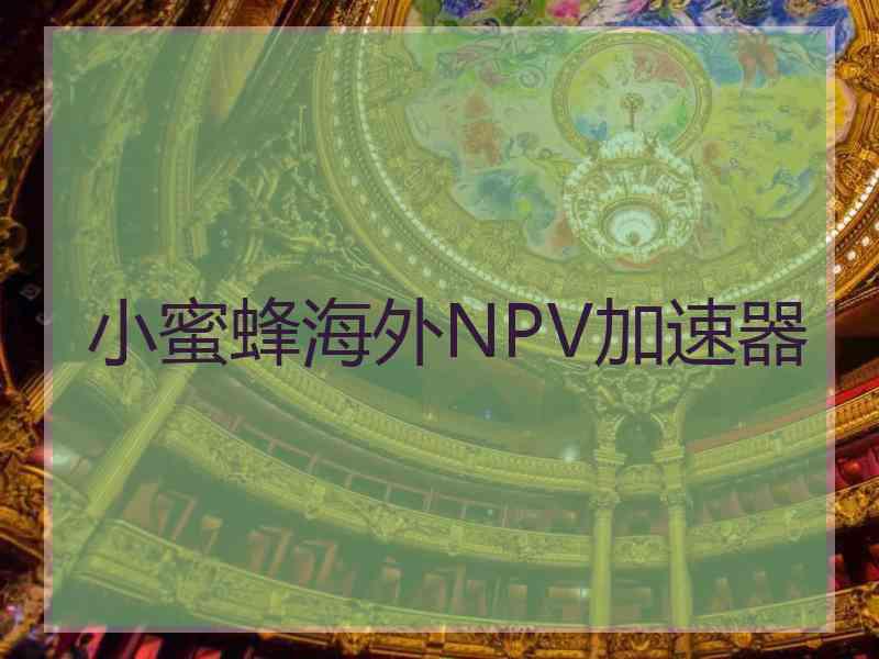 小蜜蜂海外NPV加速器