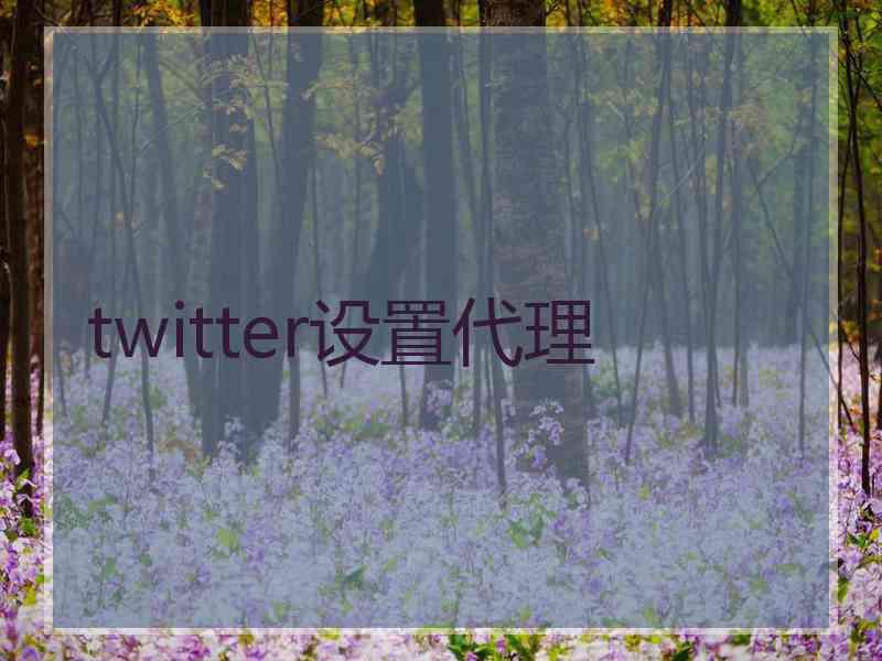 twitter设置代理