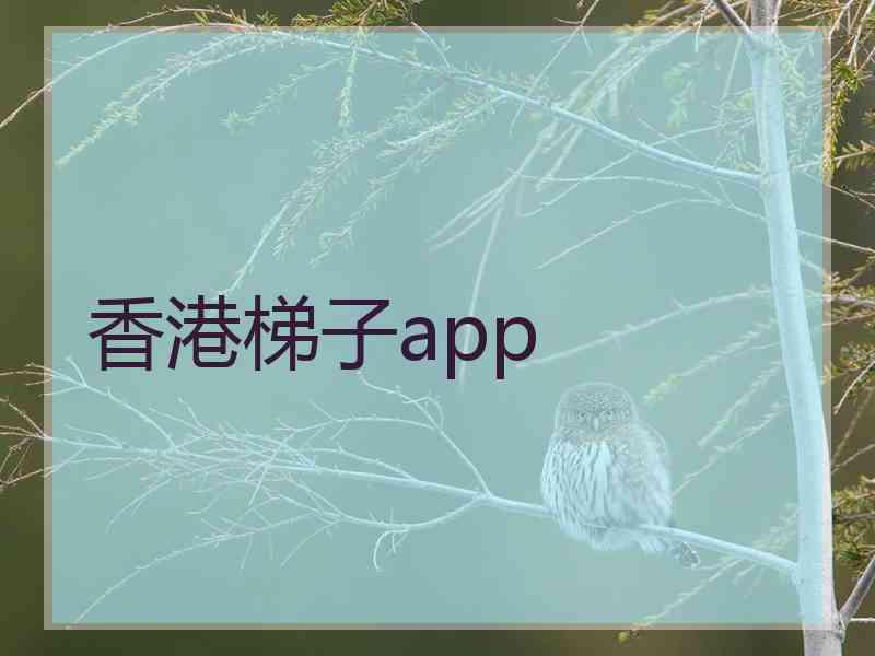 香港梯子app