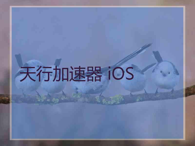 天行加速器 iOS