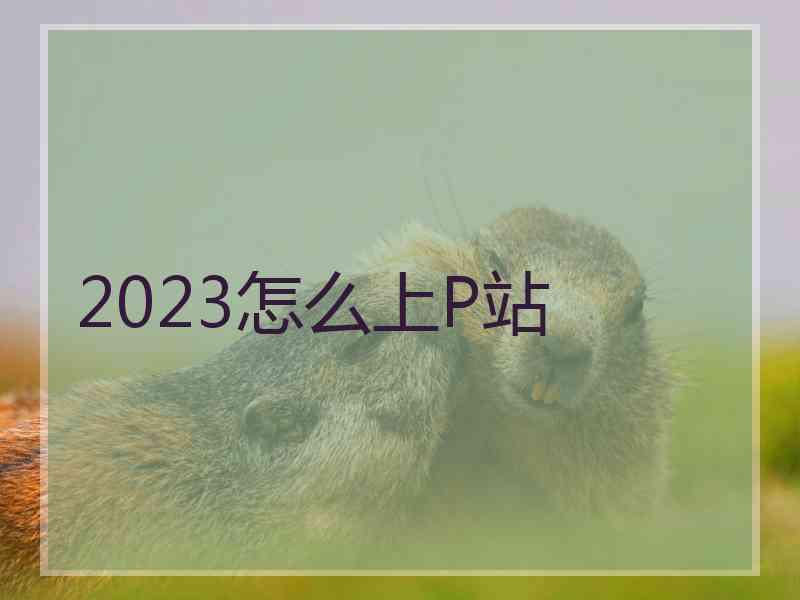 2023怎么上P站