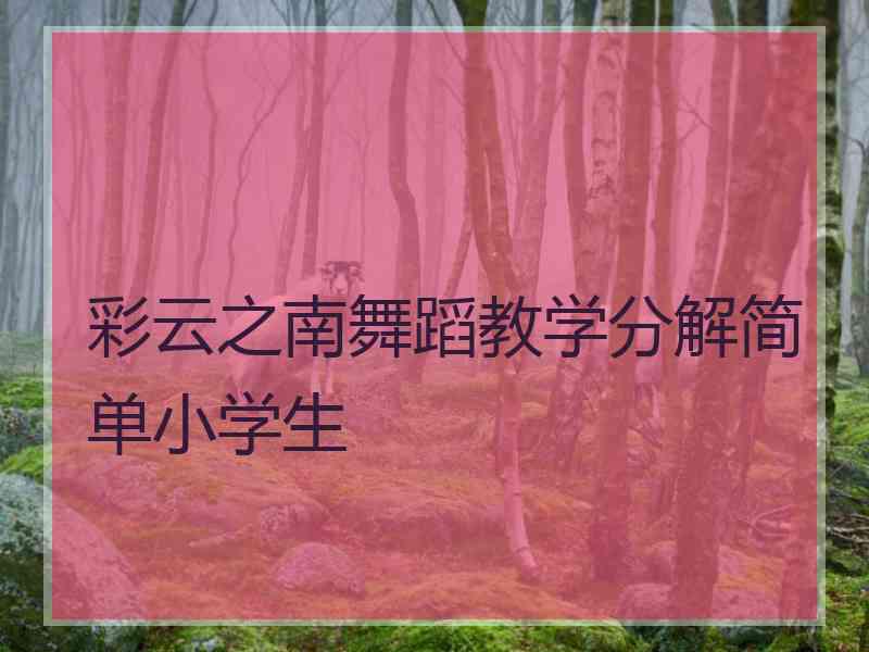 彩云之南舞蹈教学分解简单小学生