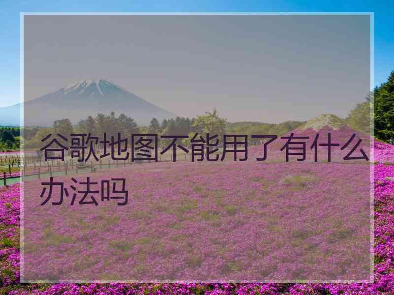 谷歌地图不能用了有什么办法吗