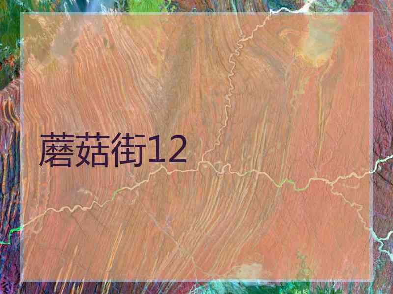 蘑菇街12