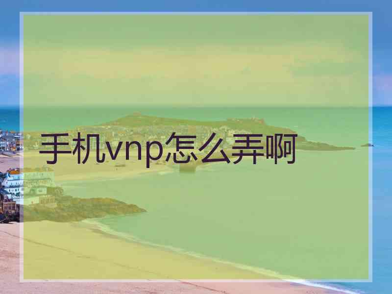 手机vnp怎么弄啊