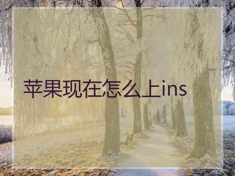 苹果现在怎么上ins