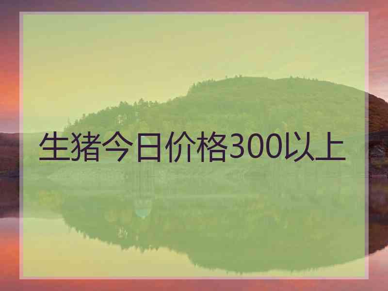 生猪今日价格300以上