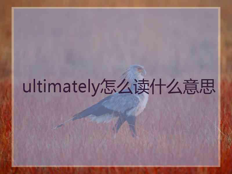 ultimately怎么读什么意思