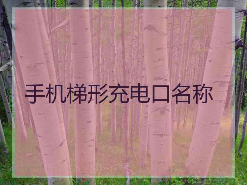 手机梯形充电口名称