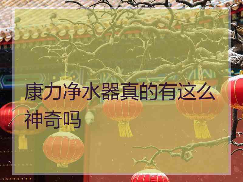 康力净水器真的有这么神奇吗