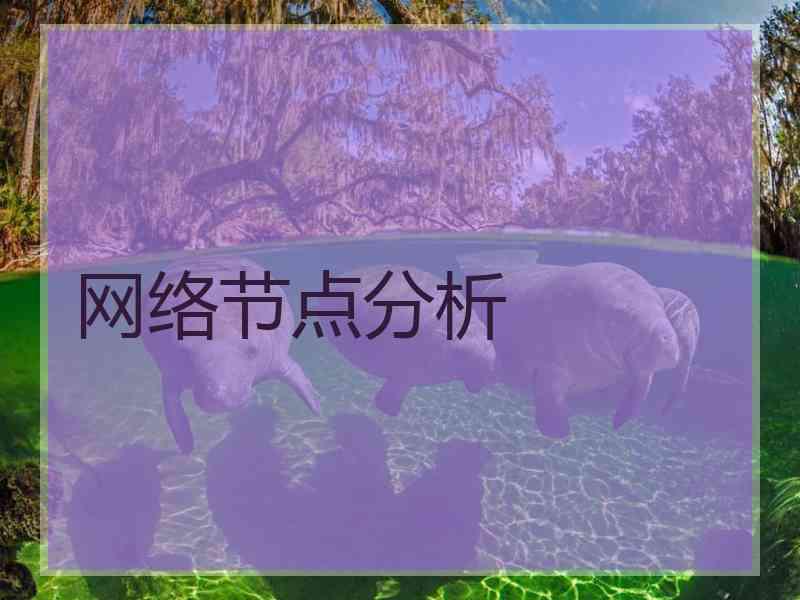 网络节点分析