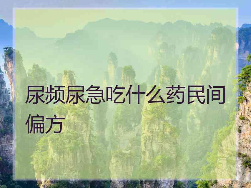 尿频尿急吃什么药民间偏方