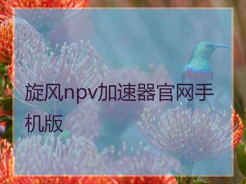 旋风npv加速器官网手机版