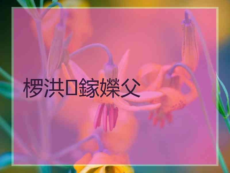 椤洪鎵嬫父