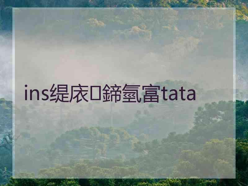 ins缇庡鍗氫富tata