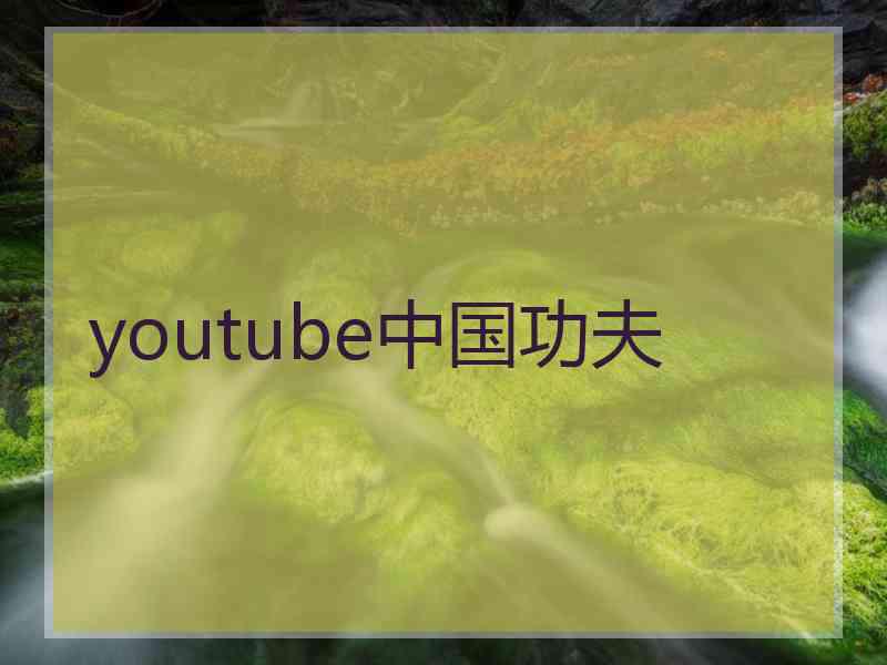 youtube中国功夫