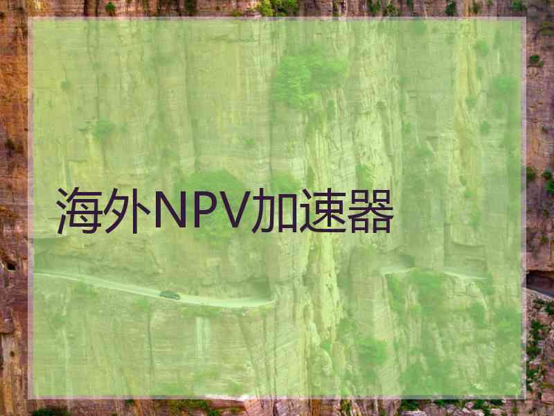 海外NPV加速器