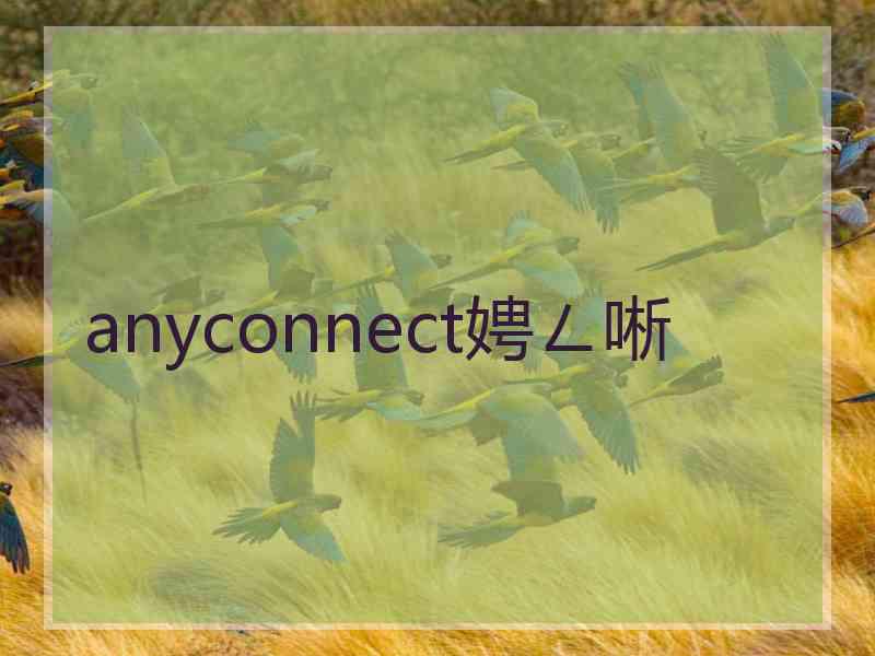 anyconnect娉ㄥ唽